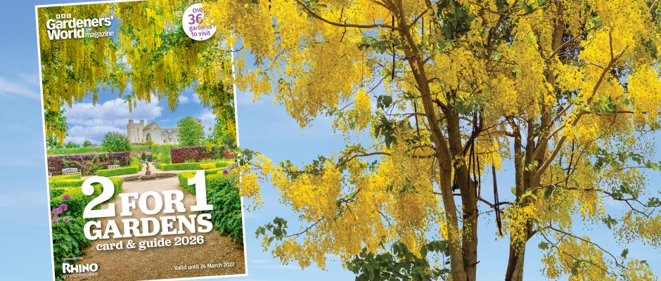 Jardins 2 pour 1 à visiter | Magazine mondial des jardiniers de la BBC