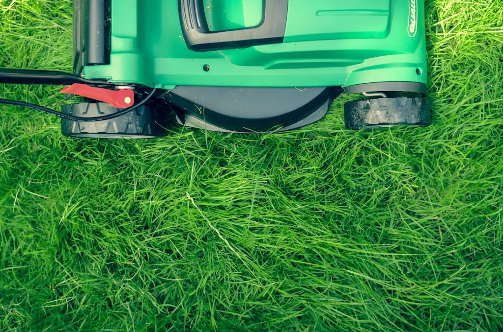 La pelouse comme élément d’infrastructure verte – rétention, refroidissement et biodiversité
