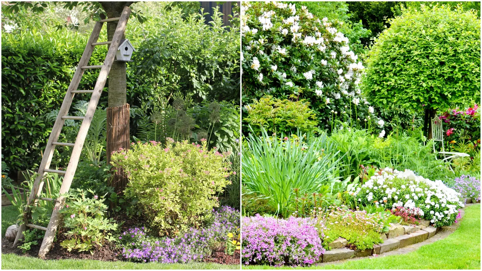 Pourquoi de telles réductions ressemblent-elles à celles d'un catalogue ? Le secret réside dans la plantation des plantes en couches