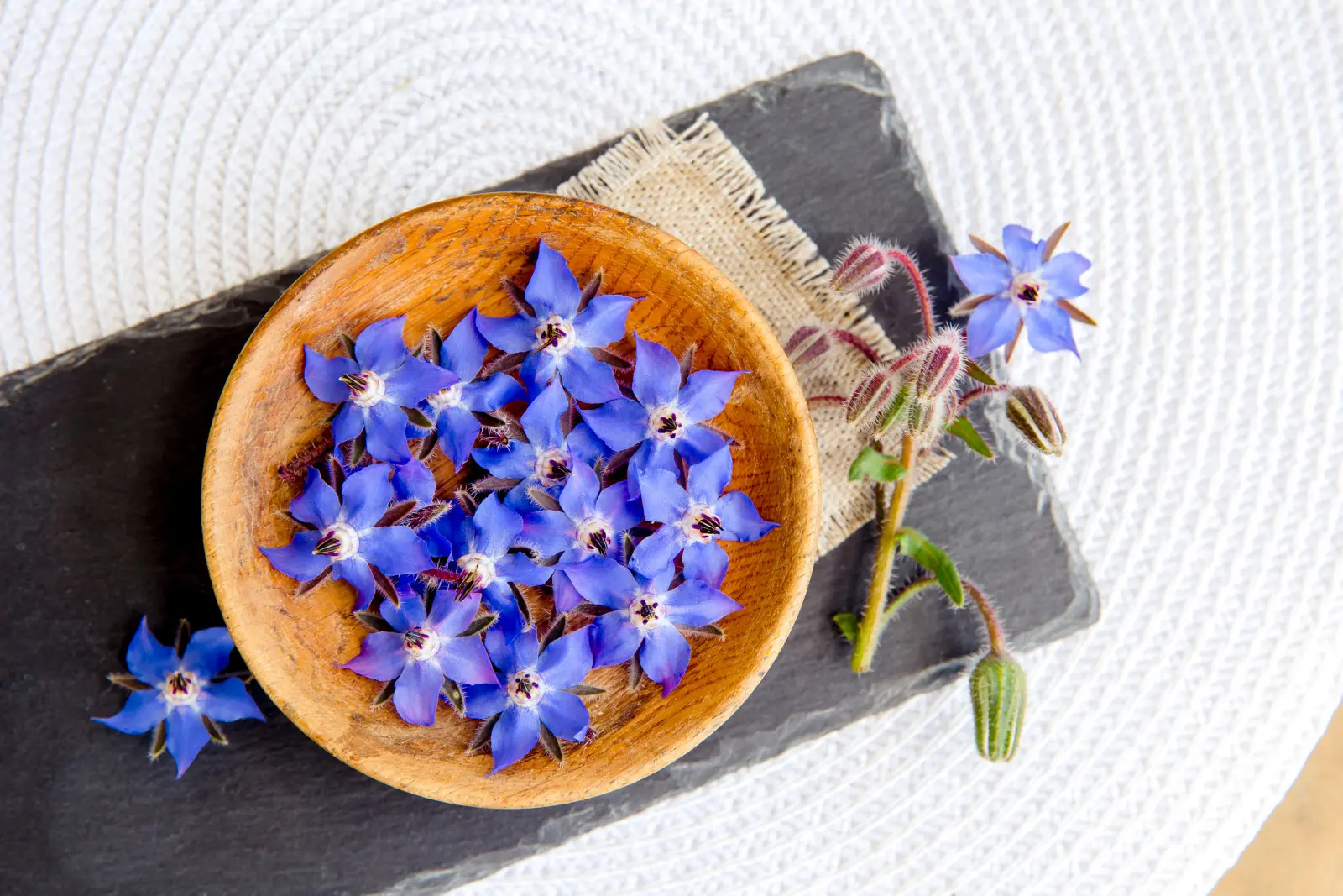 Pourquoi vaut-il la peine d’avoir de la bourrache au jardin ? Les fleurs sont délicieuses, le goût encore plus
