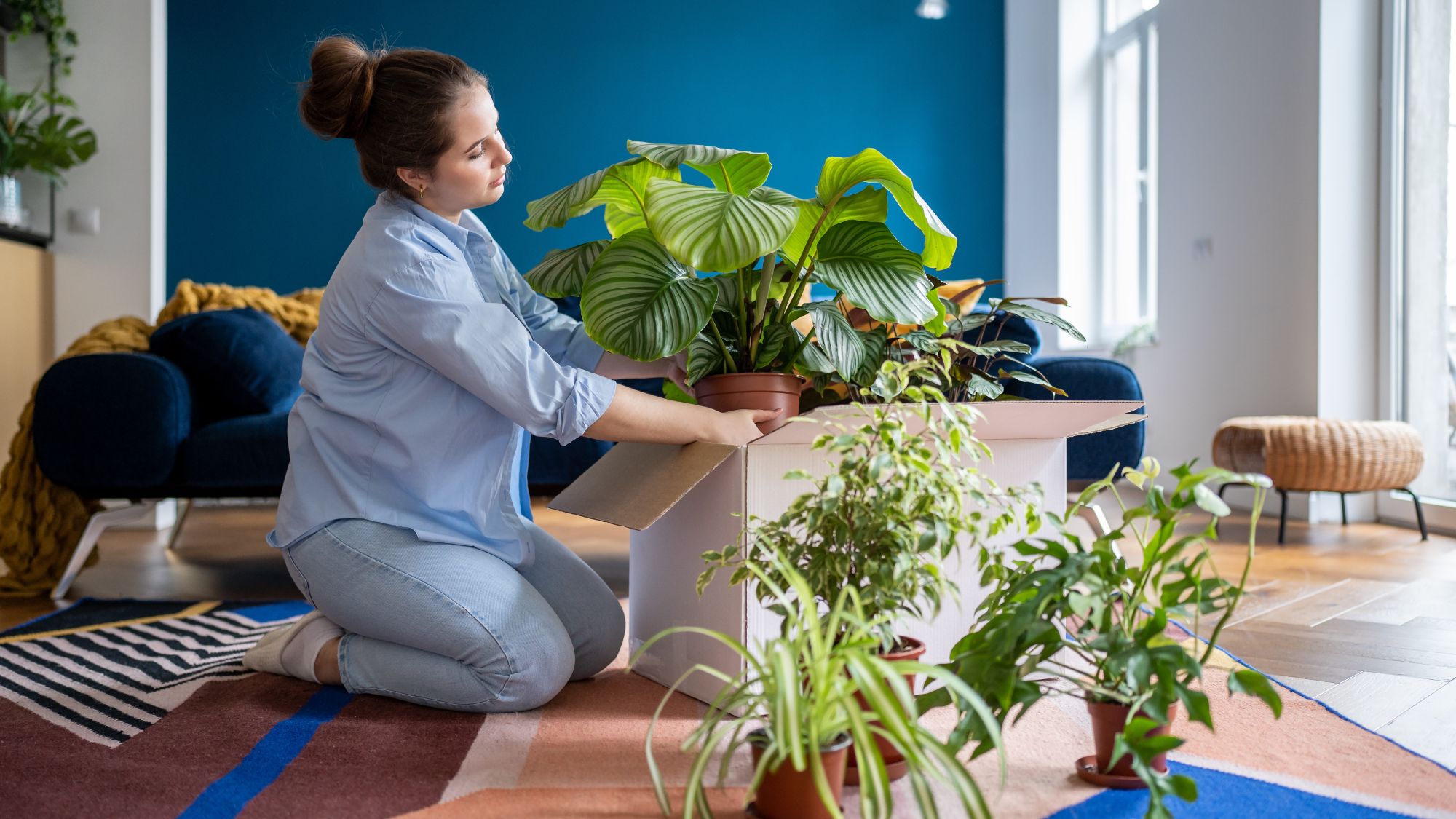 Pouvez-vous emporter des plantes de jardin lorsque vous déménagez ? Un avocat explique