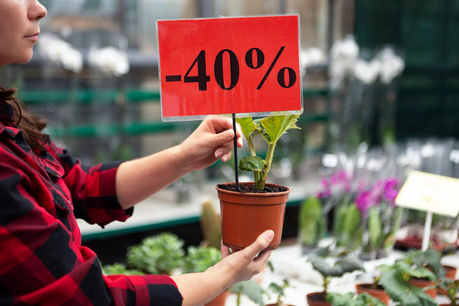 Une plante à moitié prix ? Vérifiez-le avant de l'ajouter à votre panier
