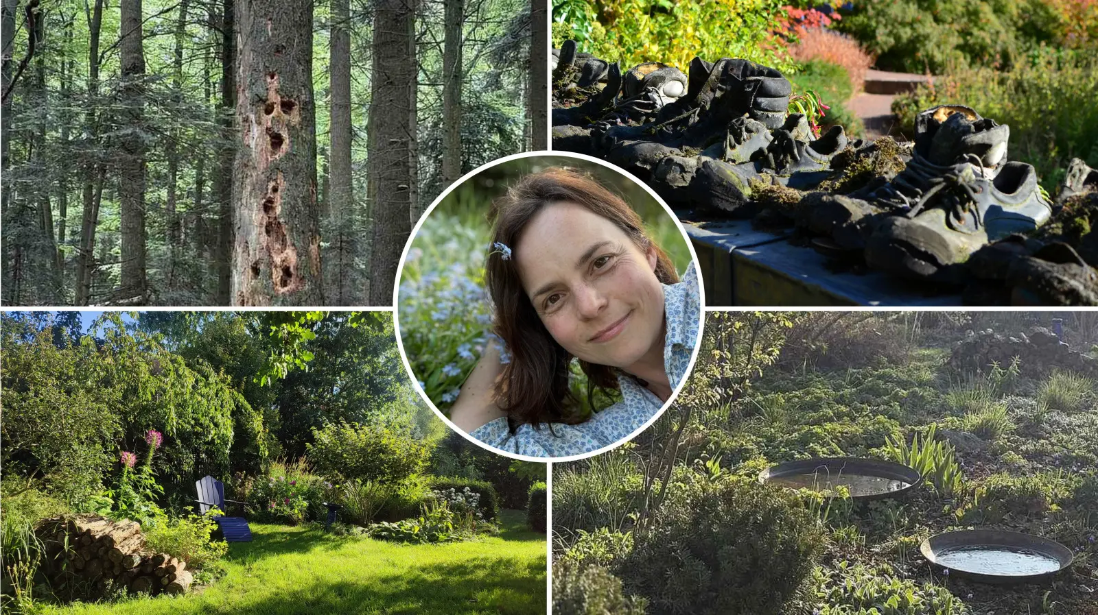 Ce « gâchis » peut sauver le jardin. Laissons la nature suivre son cours