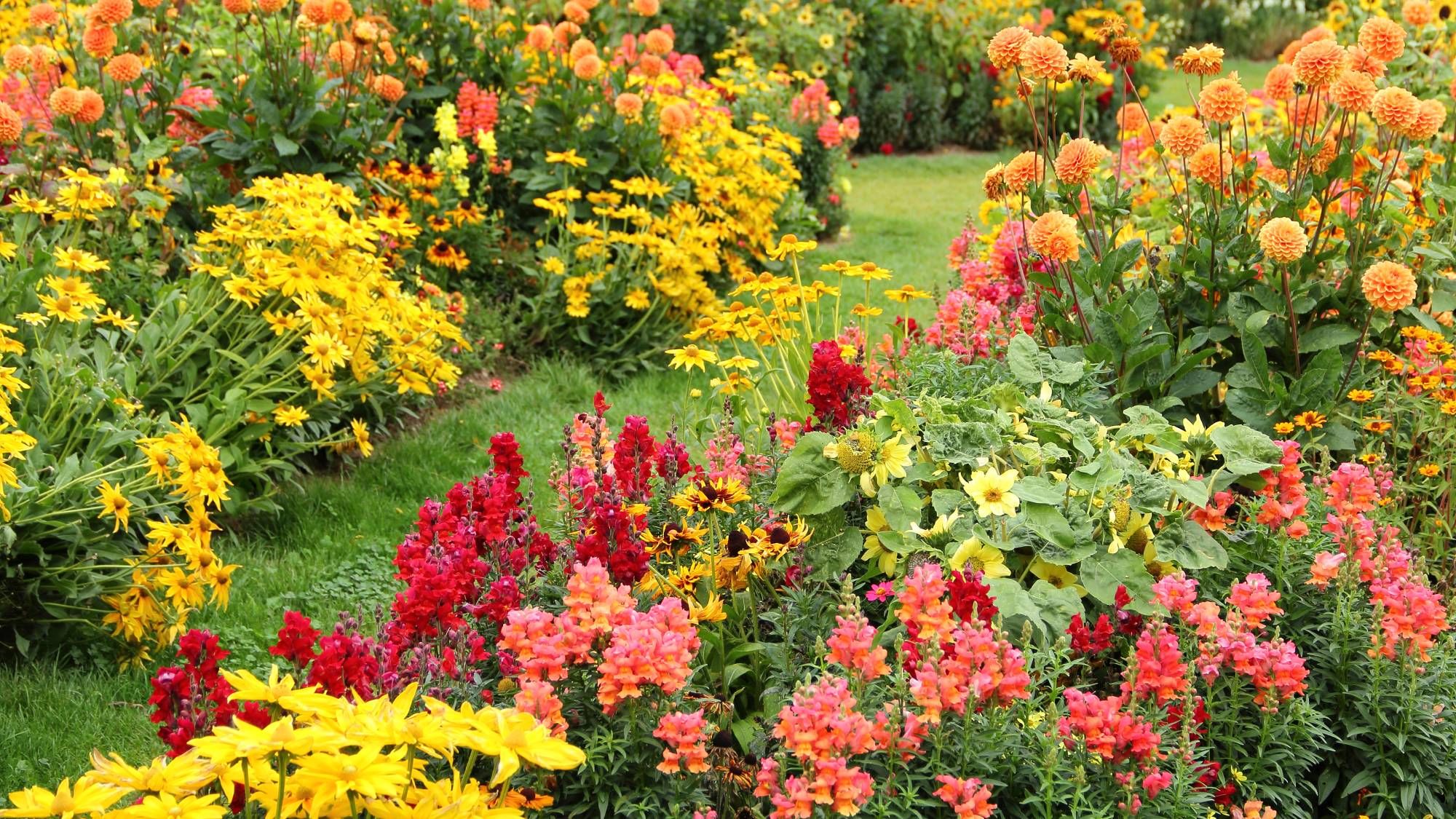 7 règles de jardinage à ne plus suivre en août