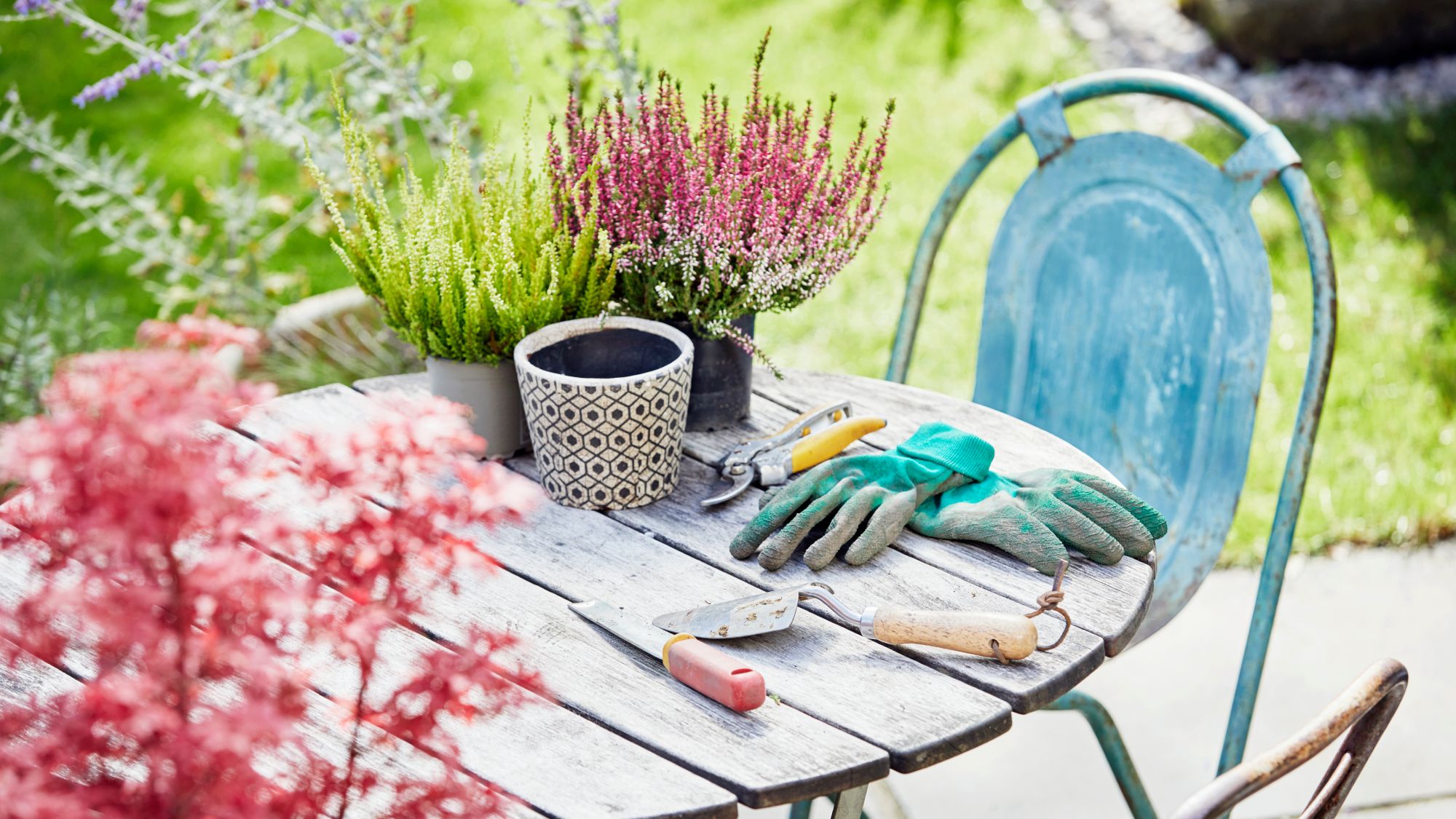 Après 20 ans de jardinage, ce sont mes outils indispensables