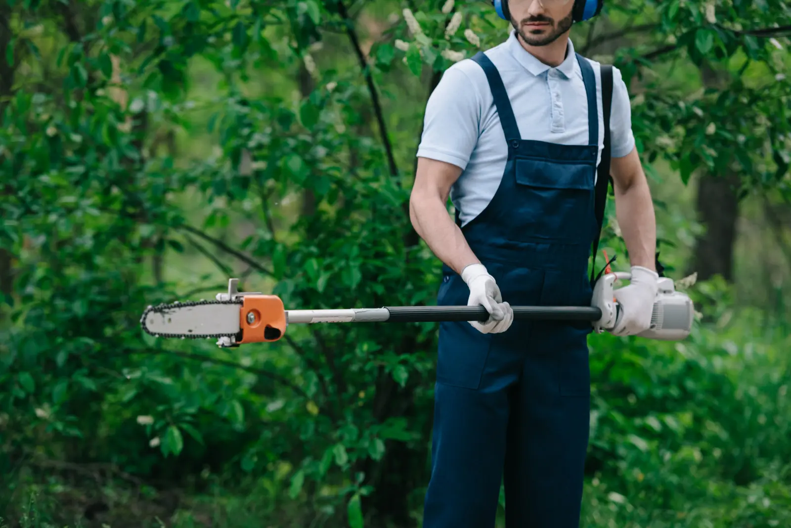 Comment tailler des branches hautes sans échelle ? Un sécateur facilite le travail