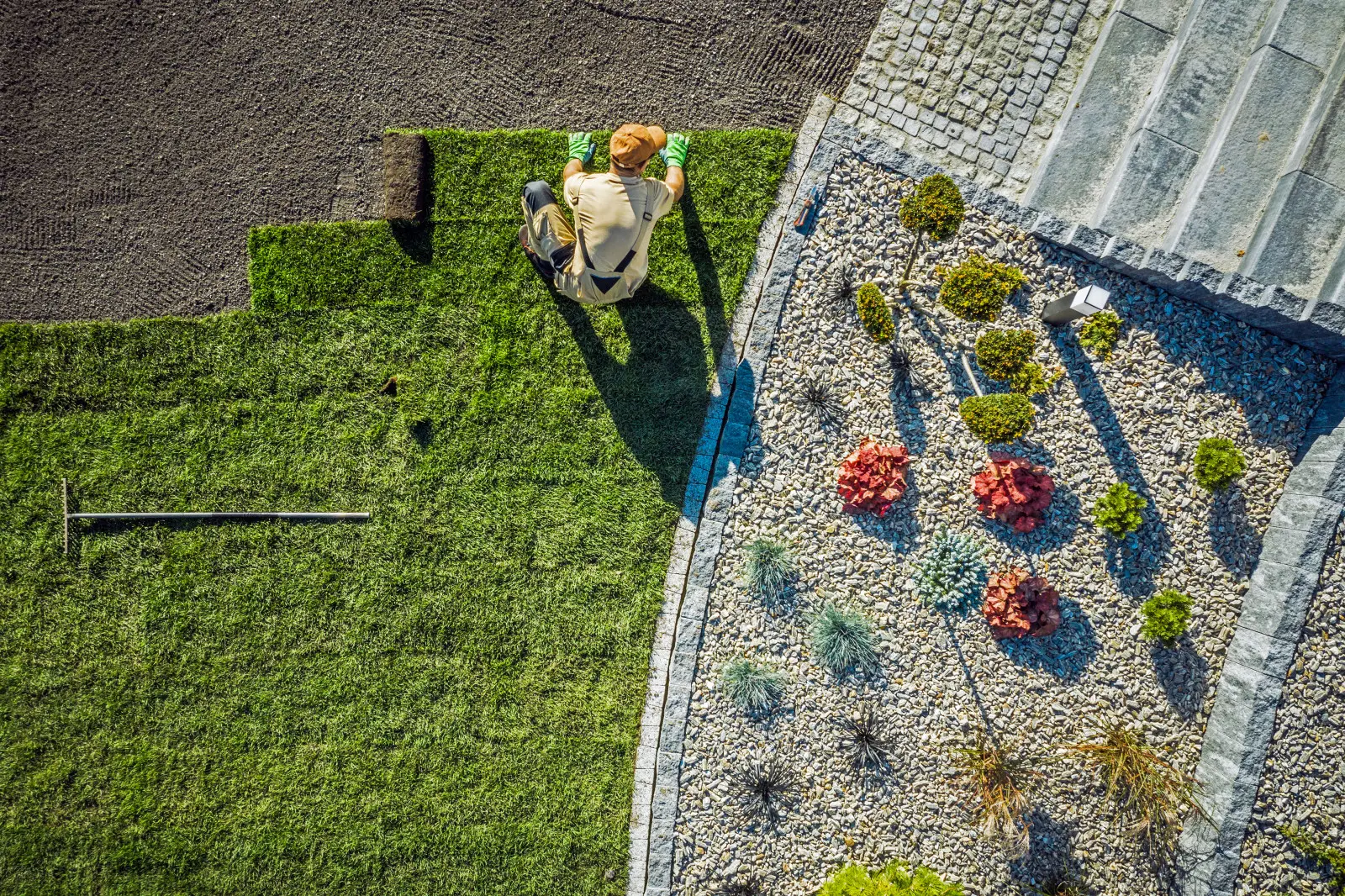 D'un terrain vide à un jardin verdoyant - comment Rolmarket aide à créer de l'espace à partir de zéro