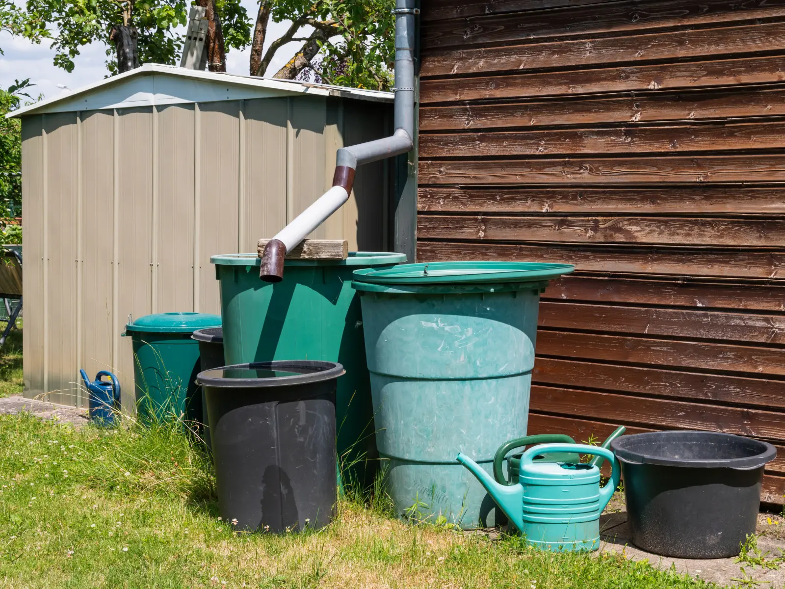 Où installer un baril de pluie ? Il vaut mieux éviter cet endroit