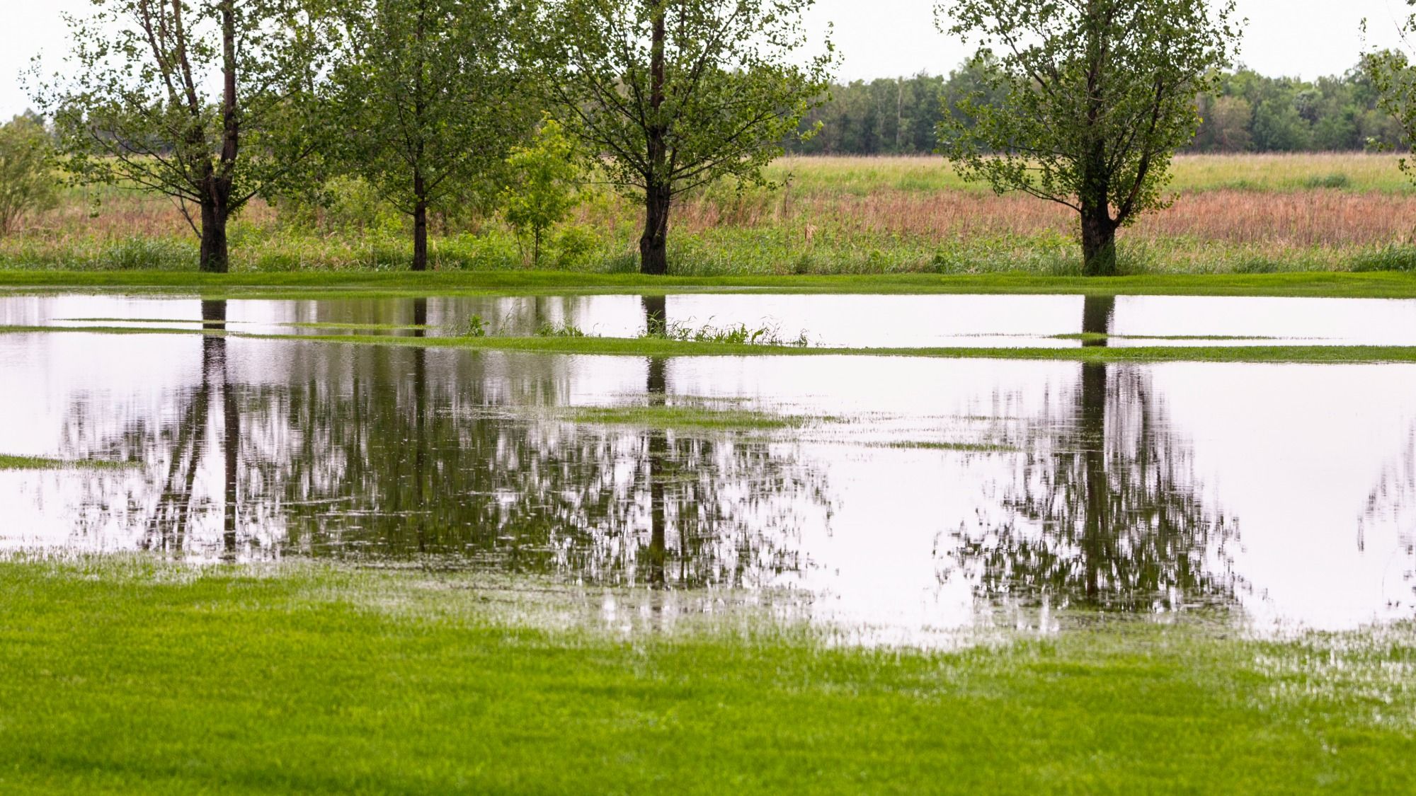 Êtes-vous responsable de la pelouse inondée d’un voisin ? Un avocat explique