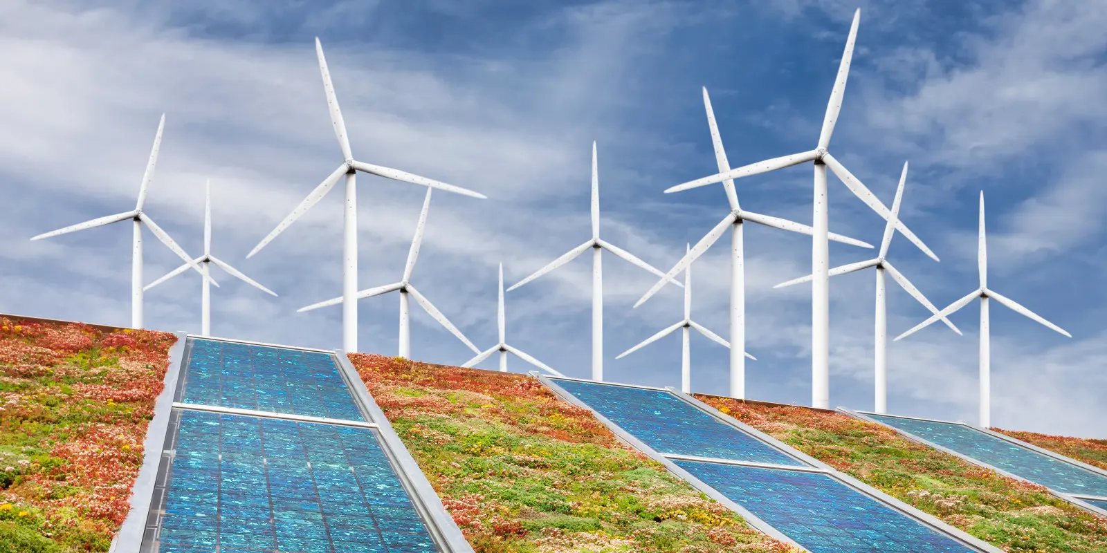J'ai une maison avec un jardin - mon terrain est-il adapté à une petite turbine ?