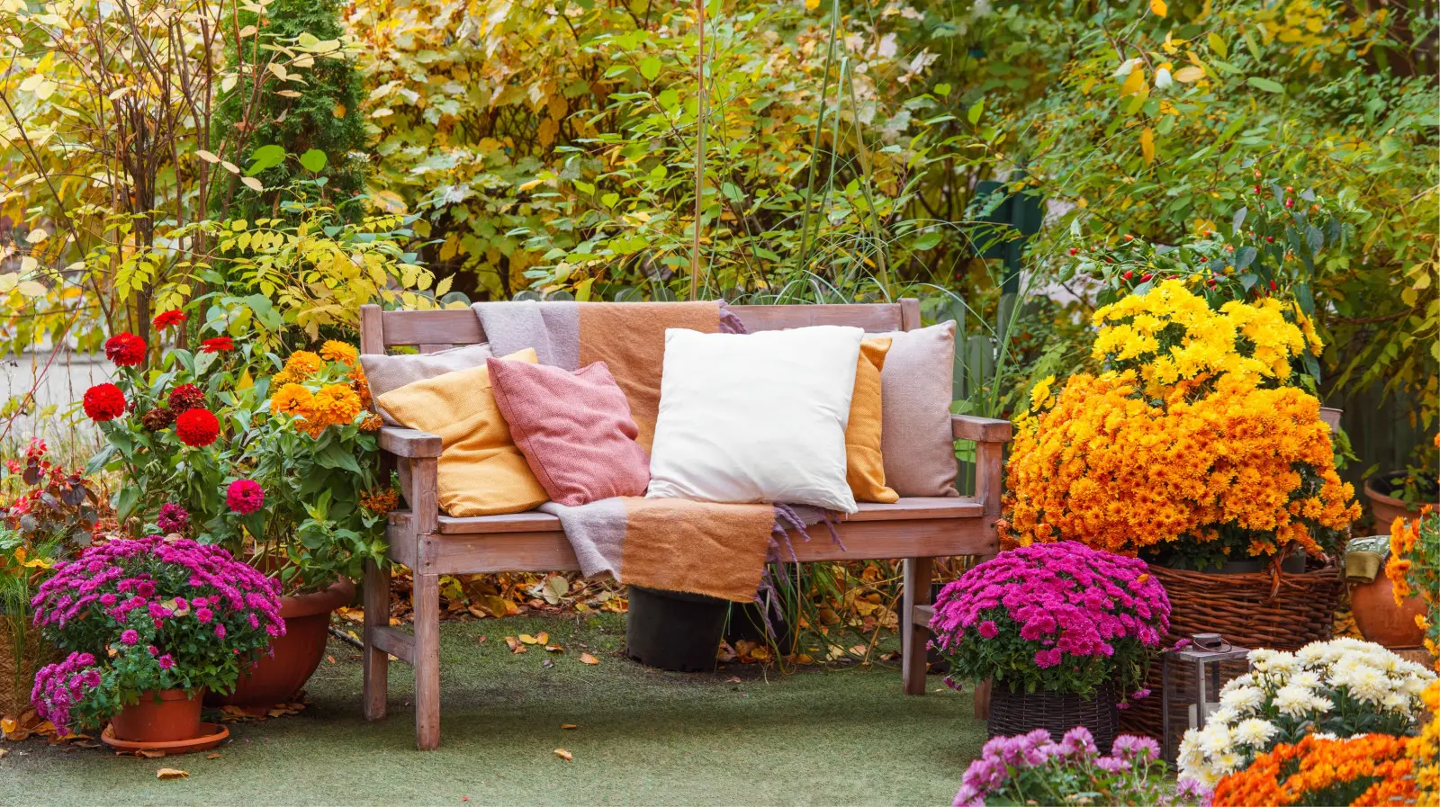 La terrasse ne doit pas nécessairement être vide en automne. Ces plantes créeront une atmosphère