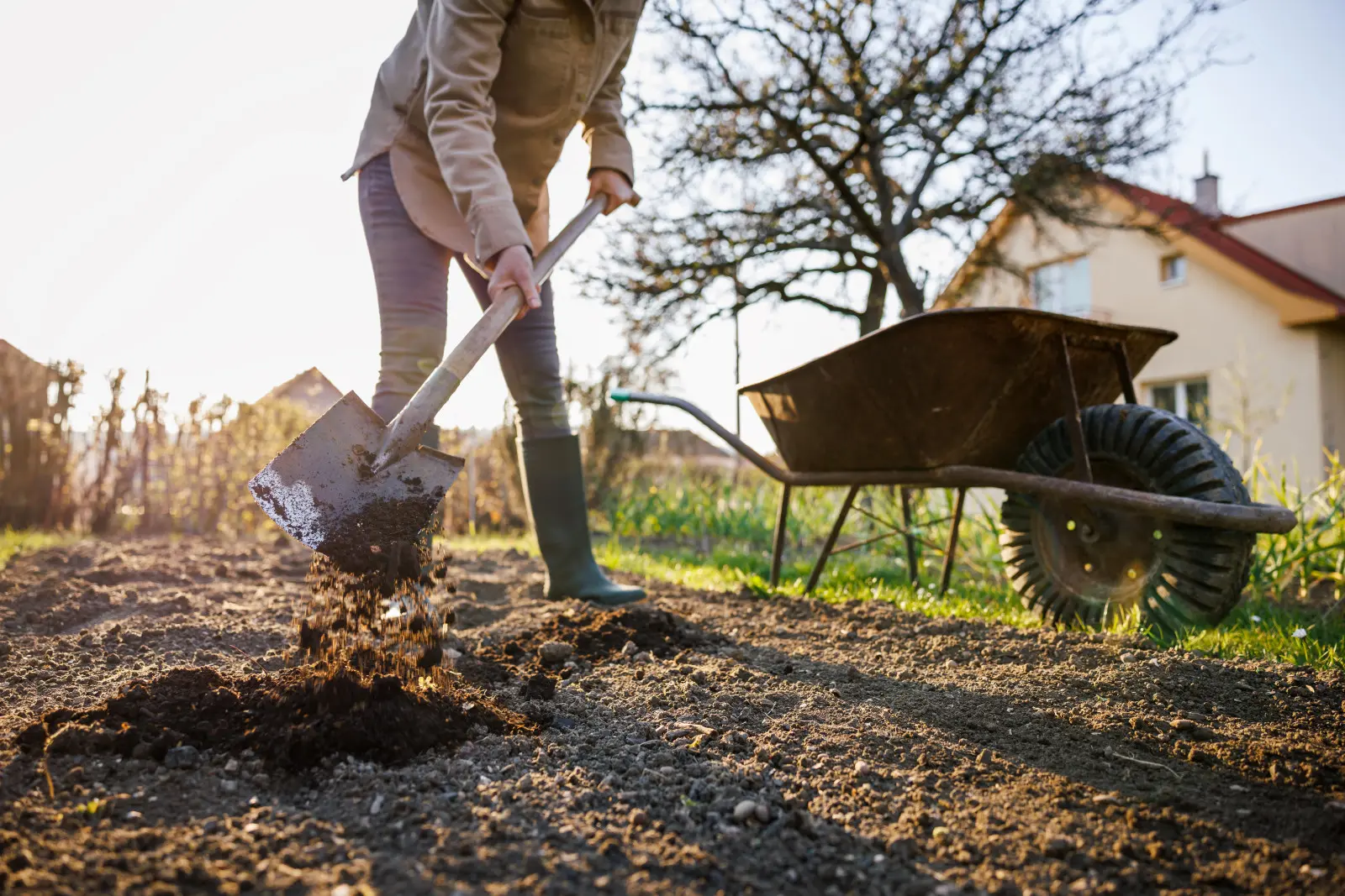 La terre nue perd sa structure en hiver. Quelques cm de compost peuvent empêcher cela