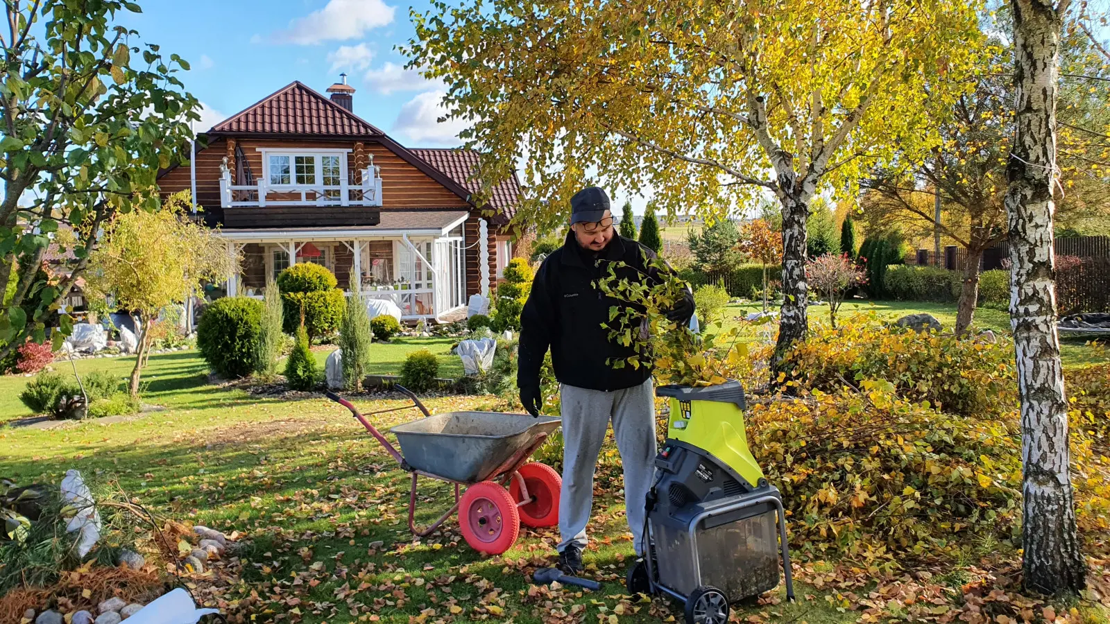 Ne faites pas cela dans le jardin en automne. Cinq erreurs qui peuvent nuire aux plantes