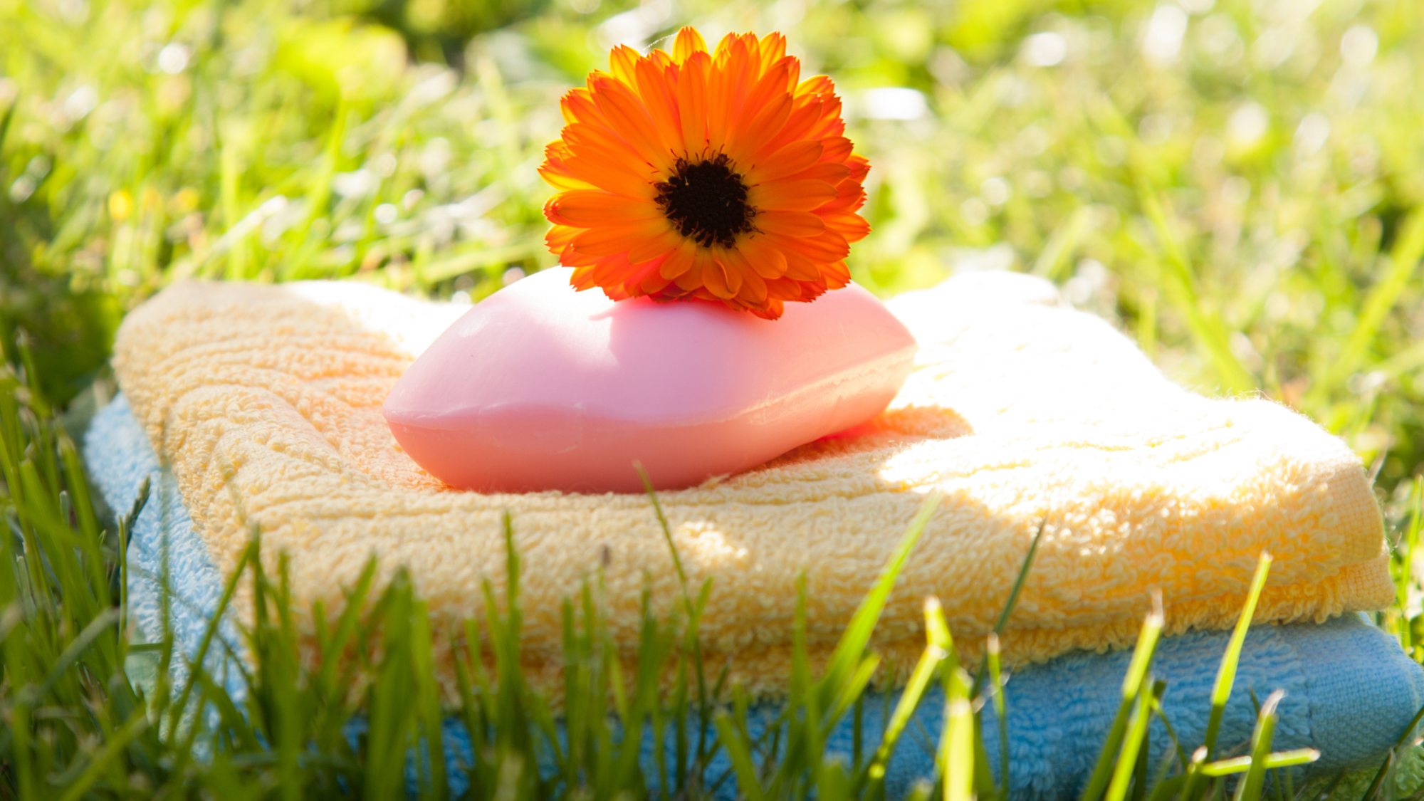 Ne jetez pas vos vieilles serviettes ! 7 façons de les utiliser dans le jardin
