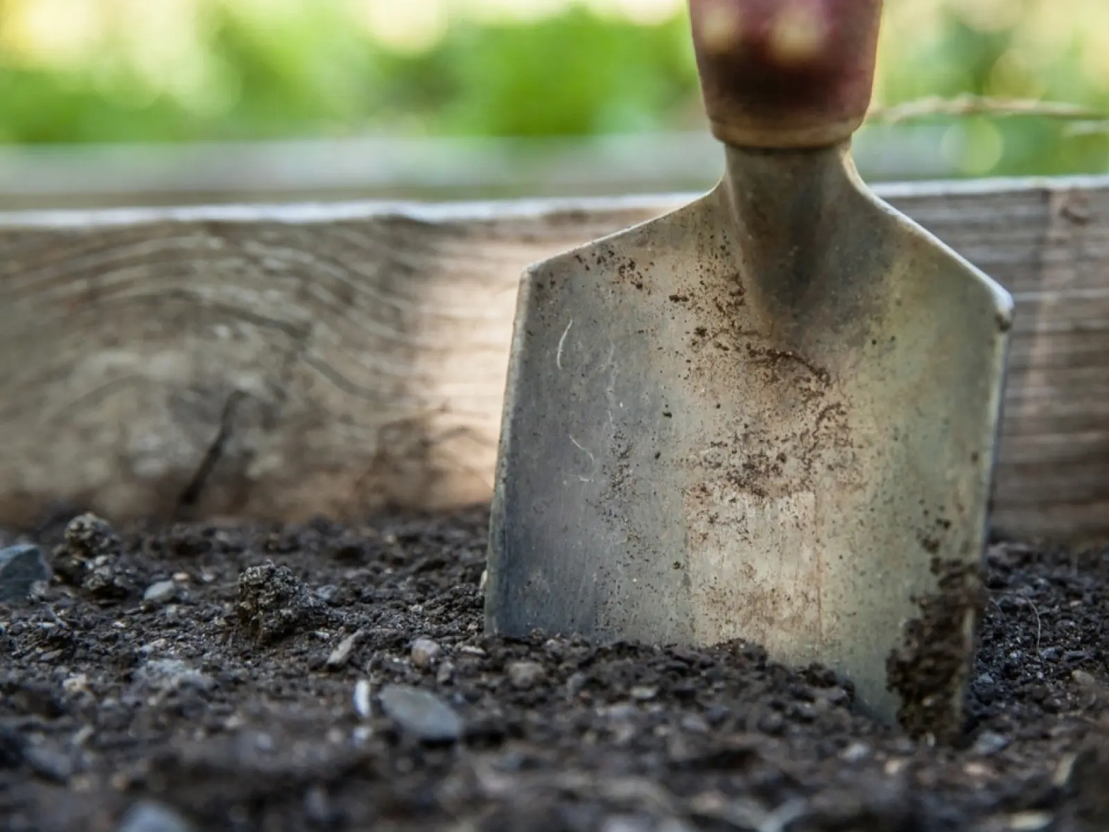 Que planter et semer en automne ?
