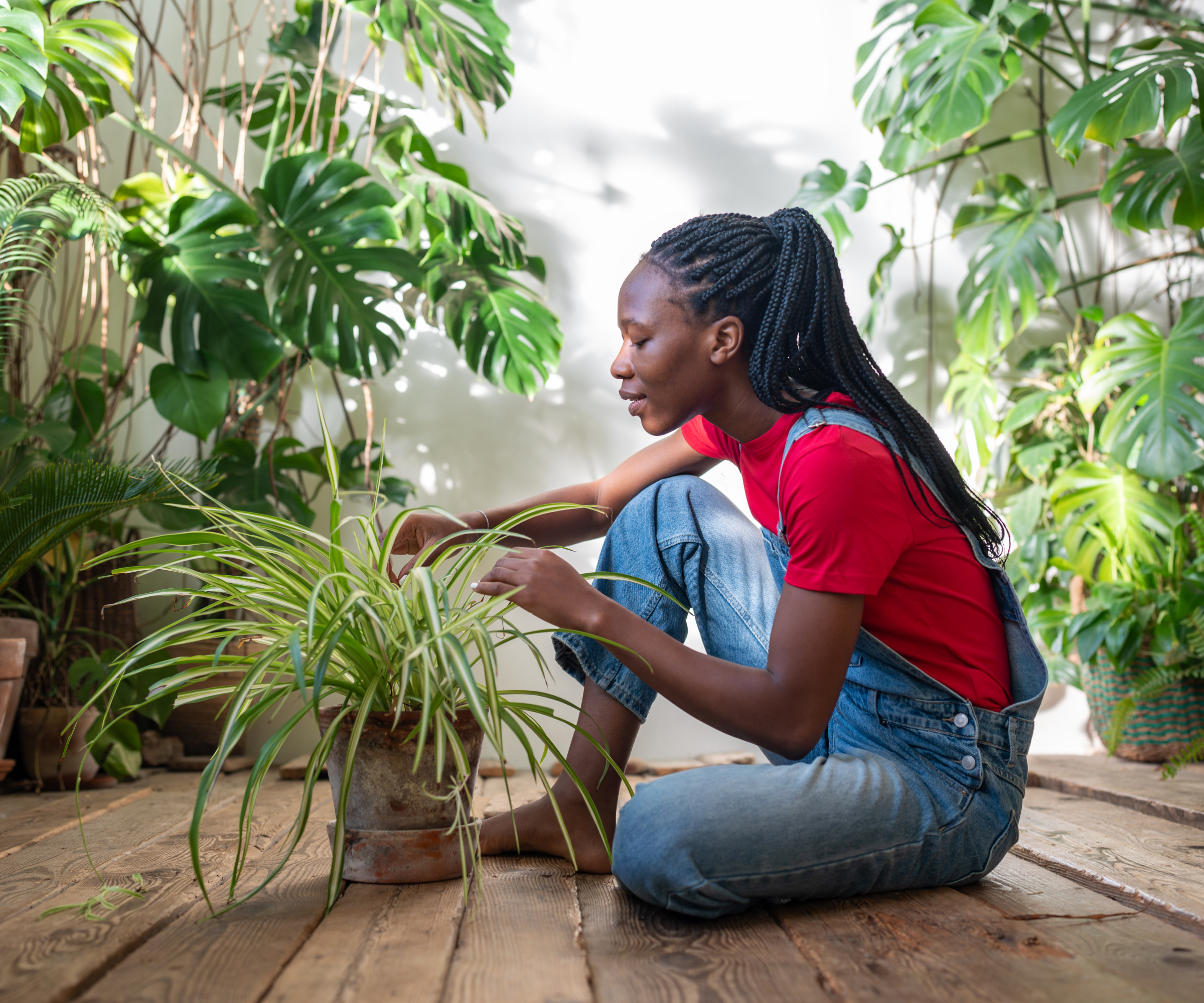 Une femme assise par terre étudie une plante araignée en pot