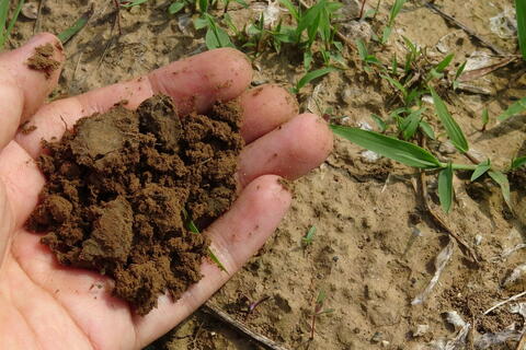 Testez la terre de votre jardin à l’automne pour une meilleure croissance printanière