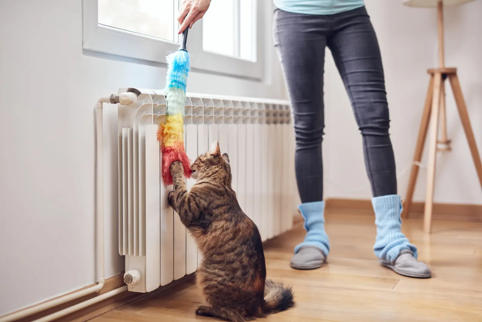 Vous commencez à chauffer votre maison ? Vérifiez d'abord ces 5 choses