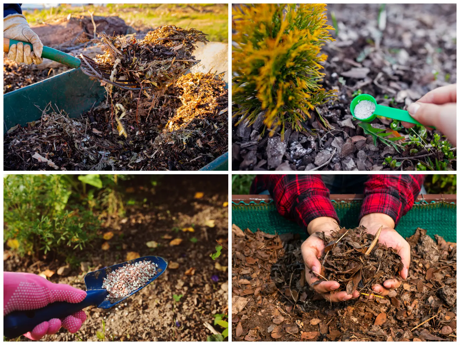 Phosphore, potassium, compost et fumier : vos alliés dans la fertilisation d'automne !