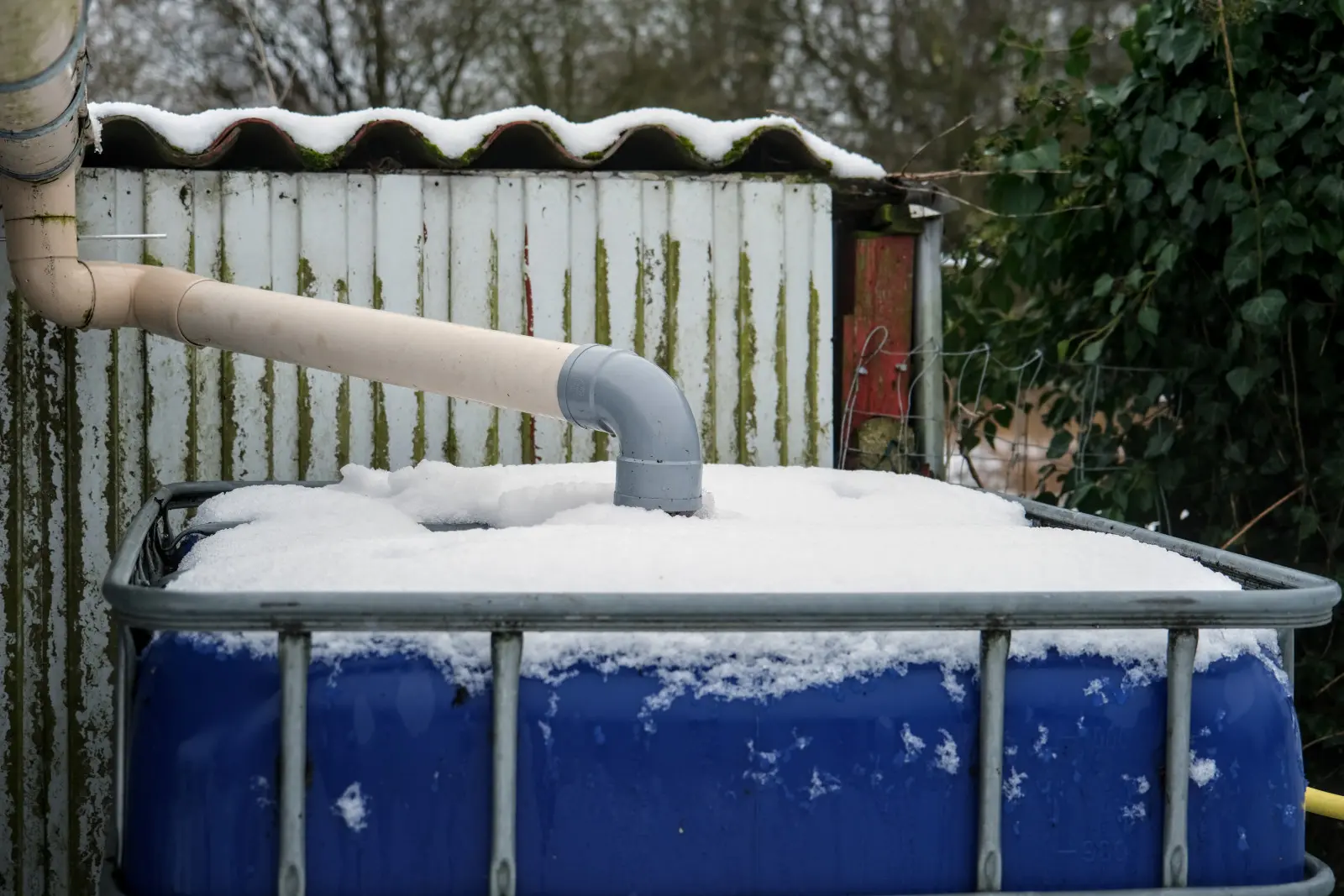 Baril de pluie avant l'hiver : comment le vider et le protéger du gel ?