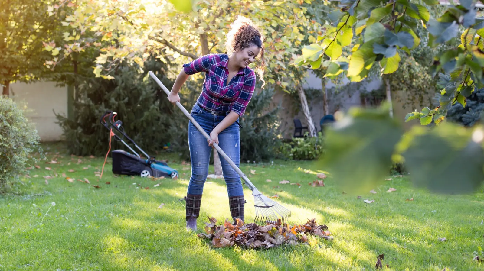 Comment préparer sa pelouse pour l'hiver ? 7 traitements d'automne les plus importants