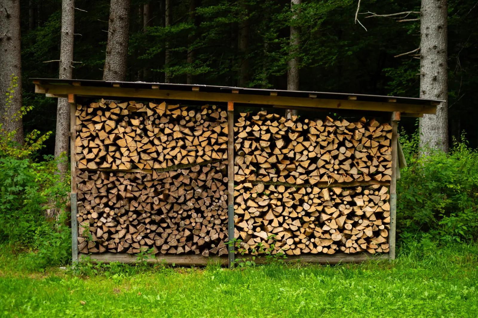Le bois ainsi stocké pourrit au lieu de sécher. Cette erreur est très souvent commise