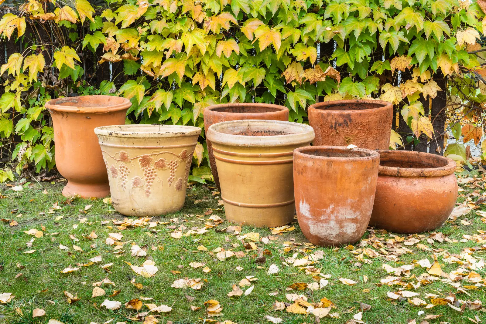Le pot de fleurs est-il sous la pluie ? Le gel peut le faire éclater de l'intérieur