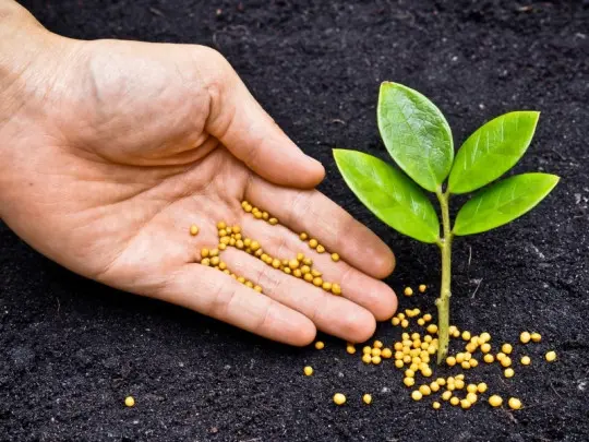 fertilisation automnale des plantes photo: weerapat1003 - Fotolia
