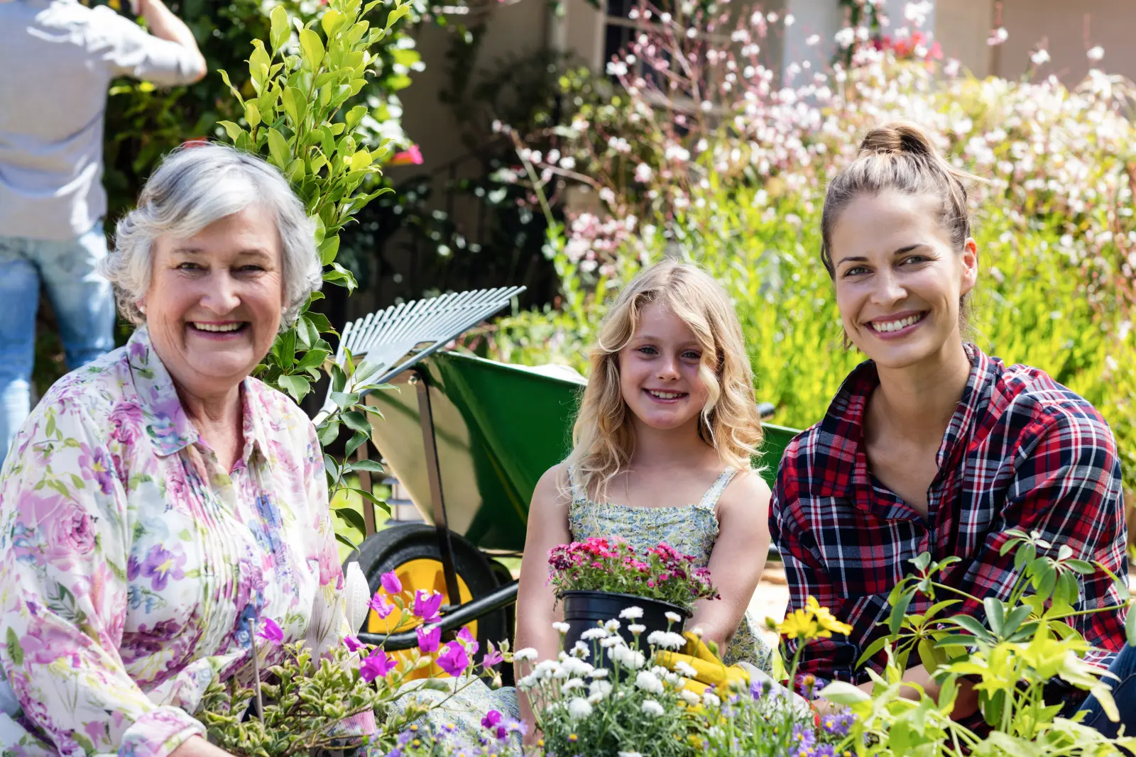 Une odeur et vous voilà de retour dans le jardin de grand-mère. Créez votre propre coin de souvenirs