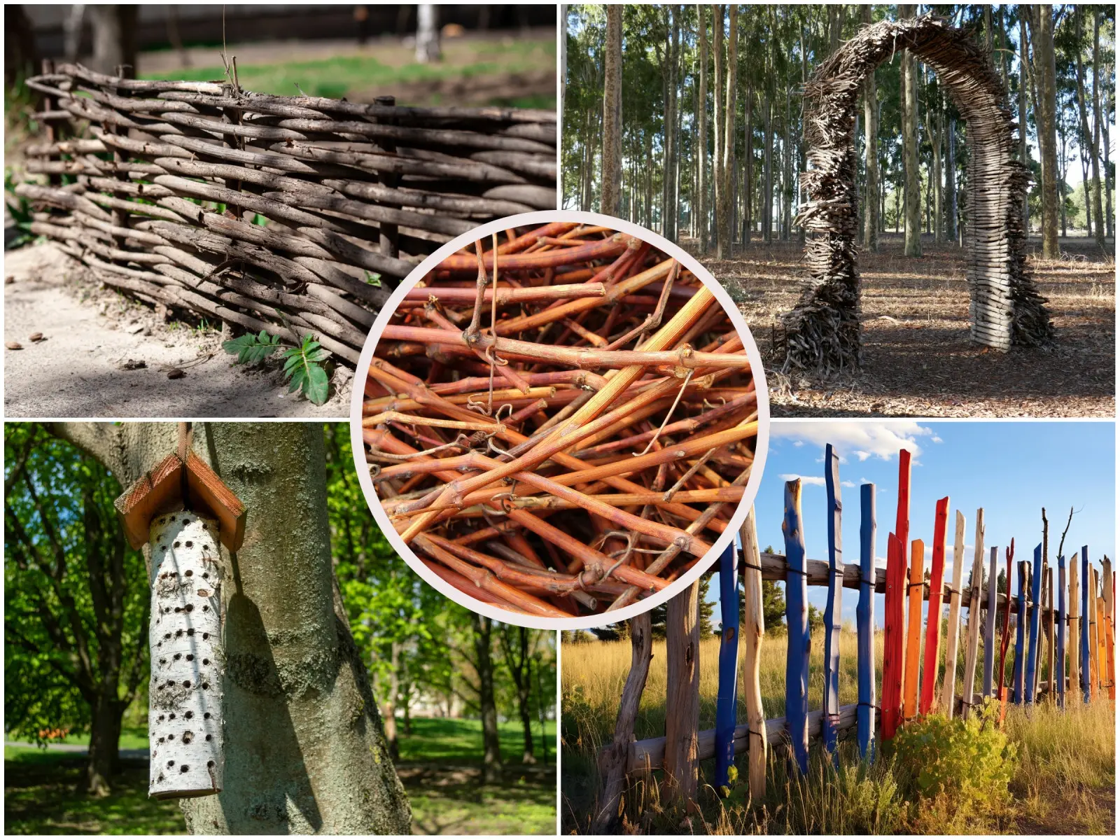 Utilisation créative des branches | Une nouvelle vie pour votre jardin après la taille des branches