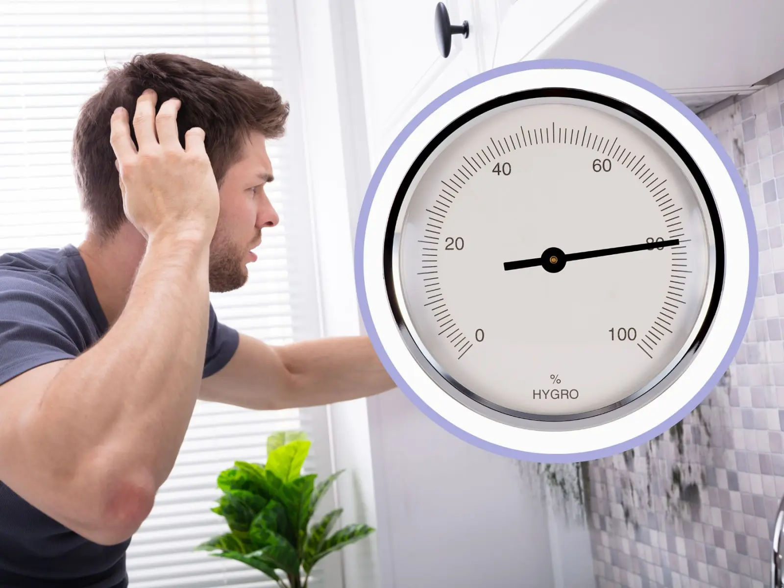 Vous souffrez d'humidité dans votre maison ? Voici comment s'en débarrasser avec des remèdes maison - rapidement et à moindre coût